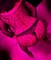 Erojobs.nl - 2/2