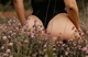 Erojobs.nl - 1/3