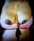 Erojobs.nl