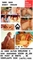 Erojobs.nl - 1/8