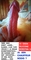 Erojobs.nl - 3/8