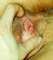 Erojobs.nl - 6/7