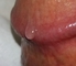 Erojobs.nl - 2/7