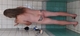 Erojobs.nl - 1/2
