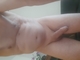 Erojobs.nl - 8/8